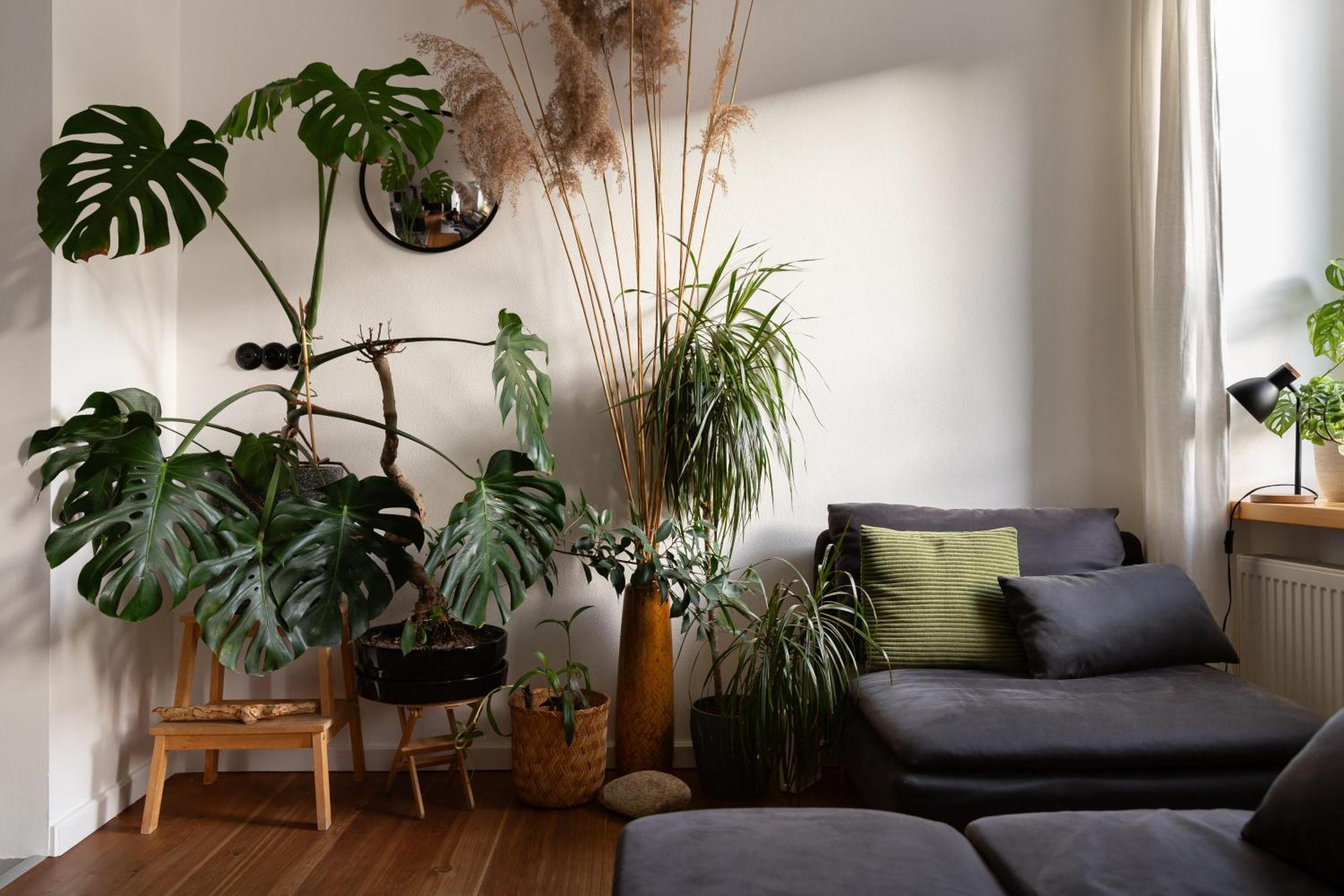 Evergreen - Old Town Spacious Stylish Apartment With Ac And One And A Half Bath, Baby & Kid- Friendly Bratislava Buitenkant foto