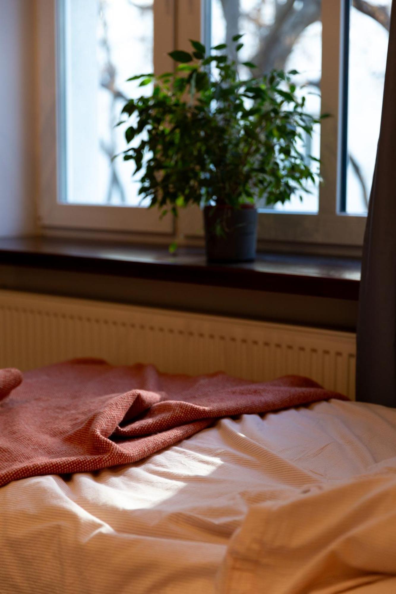 Evergreen - Old Town Spacious Stylish Apartment With Ac And One And A Half Bath, Baby & Kid- Friendly Bratislava Buitenkant foto