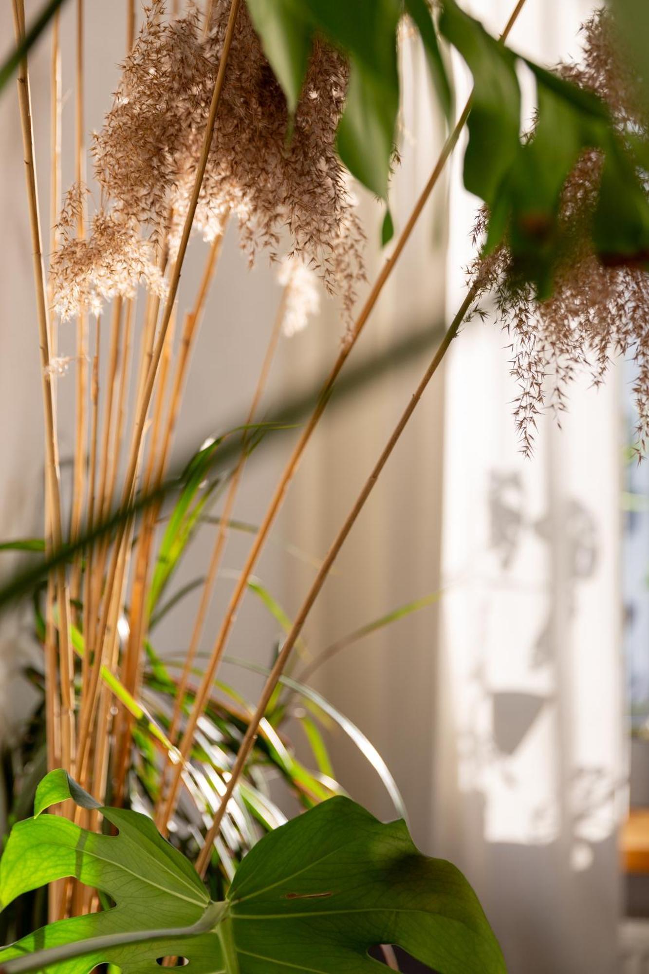 Evergreen - Old Town Spacious Stylish Apartment With Ac And One And A Half Bath, Baby & Kid- Friendly Bratislava Buitenkant foto
